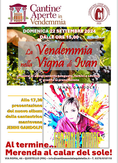 Vendemmia in cantina a Quistello (MN) 22/9/2024