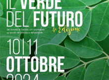 Il verde del futuro 2024 Canneto sull'Oglio (MN)