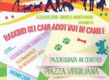 Raduno dei cani adottati in canile a Mantova 2014