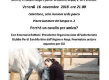 Perché un cavallo per amico?